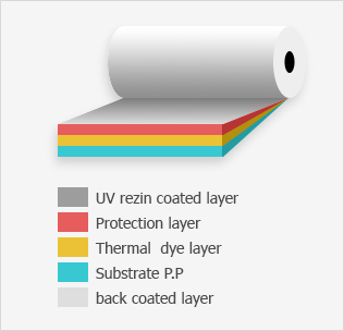 UV rezin coated layer / Protection layer / Thermal  dye layer / Substrate P.P / back coated layer